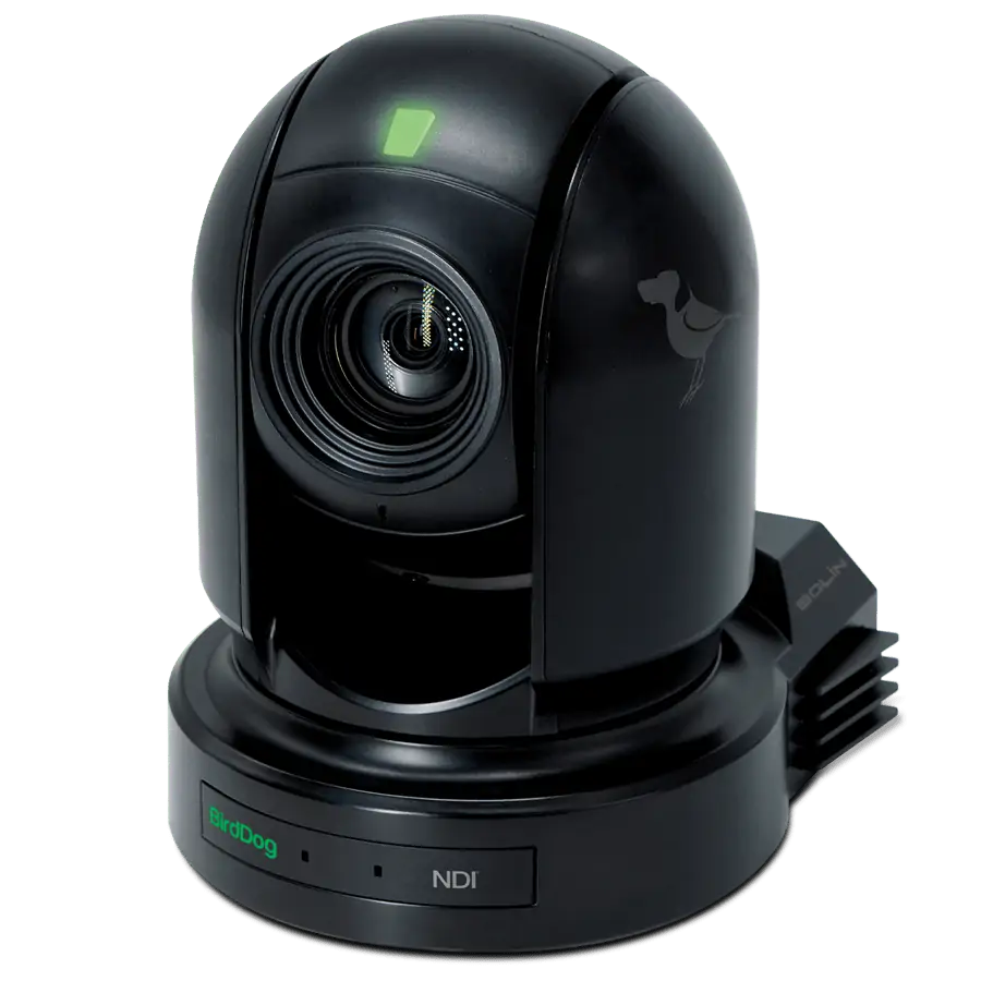 BirdDog Eyes P200 Dry Hire | Bigabox Productions